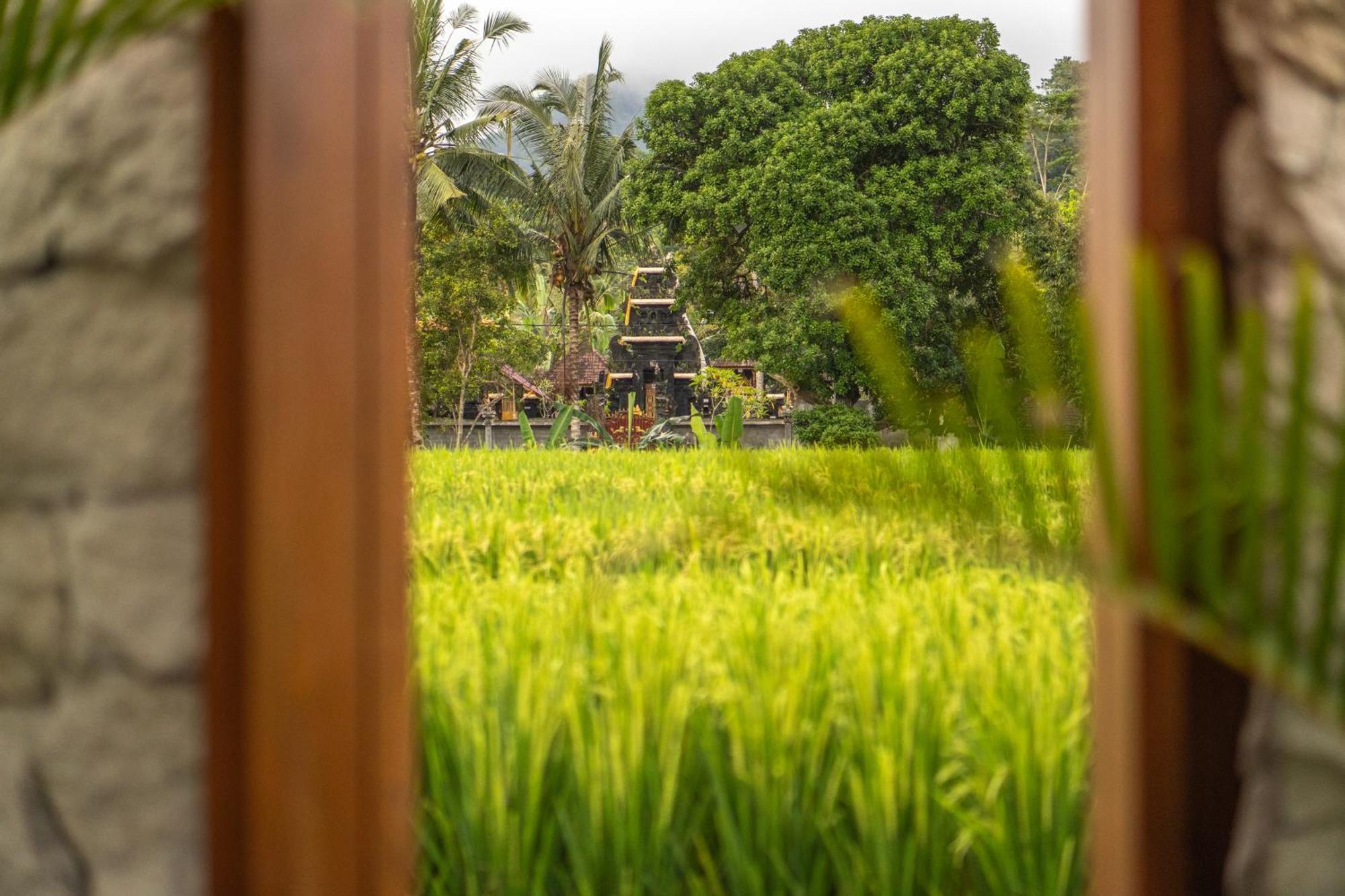 The Ume Sidemen Villas Bagian luar foto